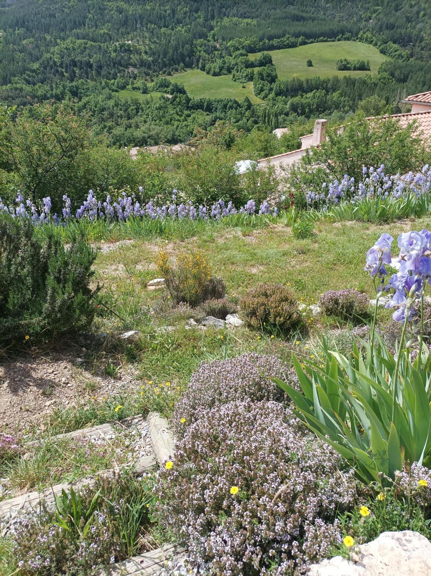 Un Petit Coin De Paradis Orpierre Exteriör bild